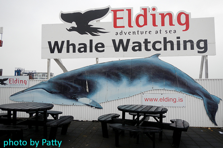 whale watching company
